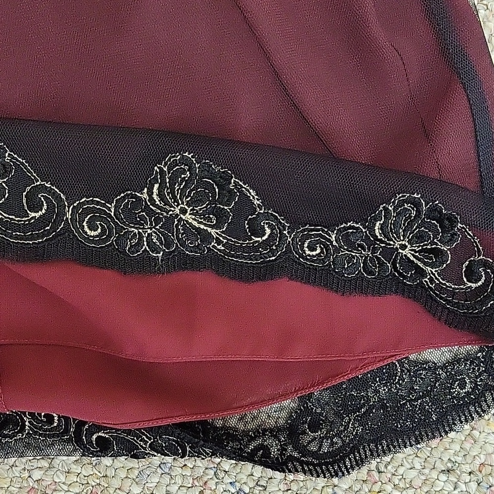 Adrianna Papell Elegant Floral Sheer  Whimsigoth Embroidered Dress, Sz 4 - Picture 7 of 7